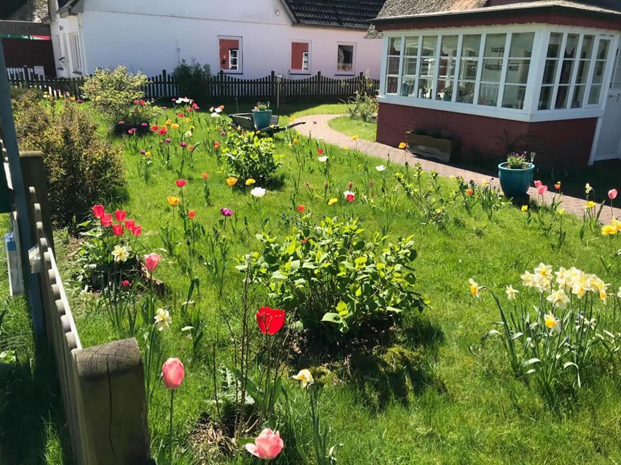 Hüs Sanskiin Ferienwohnung *Aawerkant* Suddorf Exterior foto