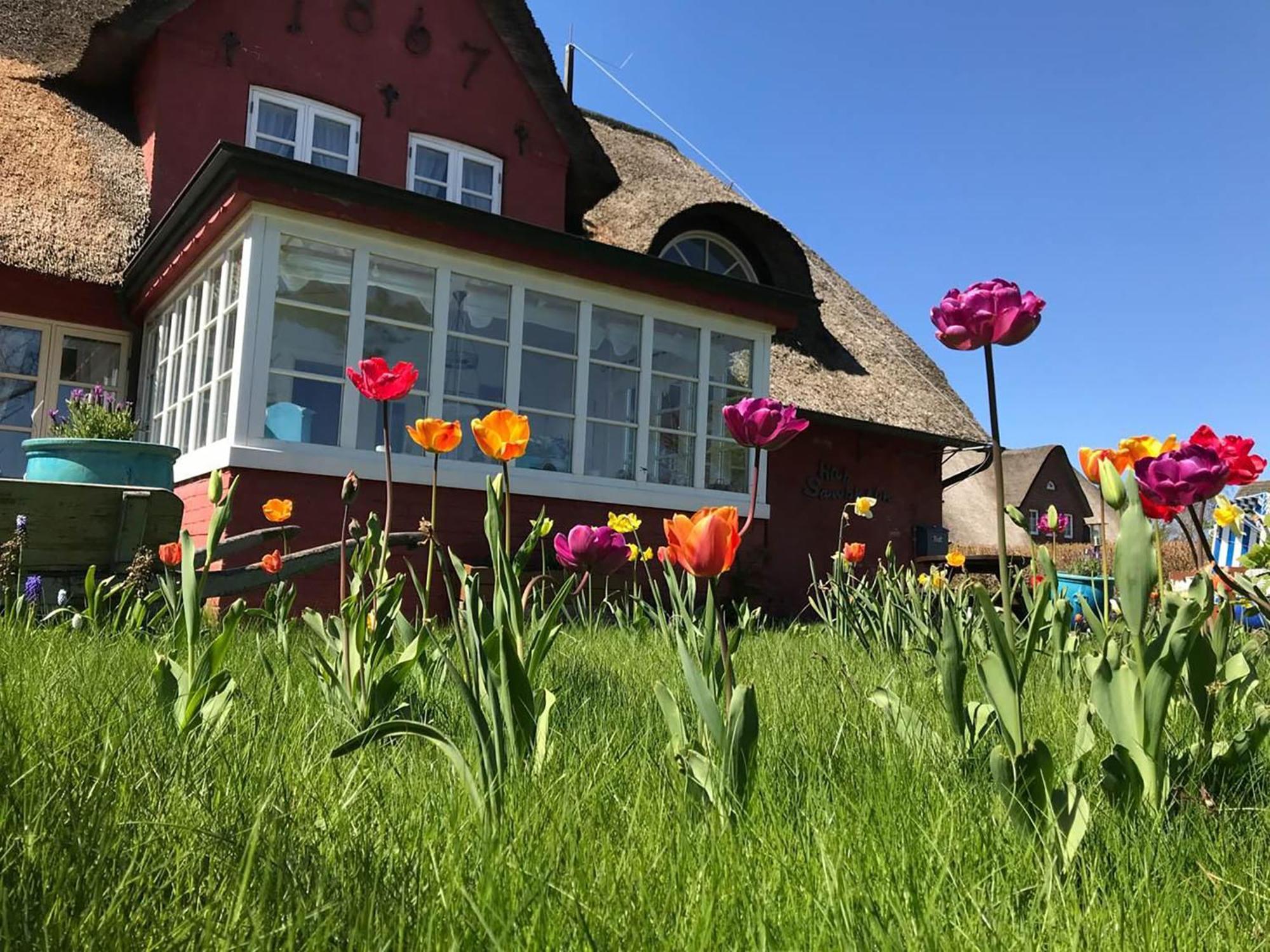 Hüs Sanskiin Ferienwohnung *Aawerkant* Suddorf Exterior foto